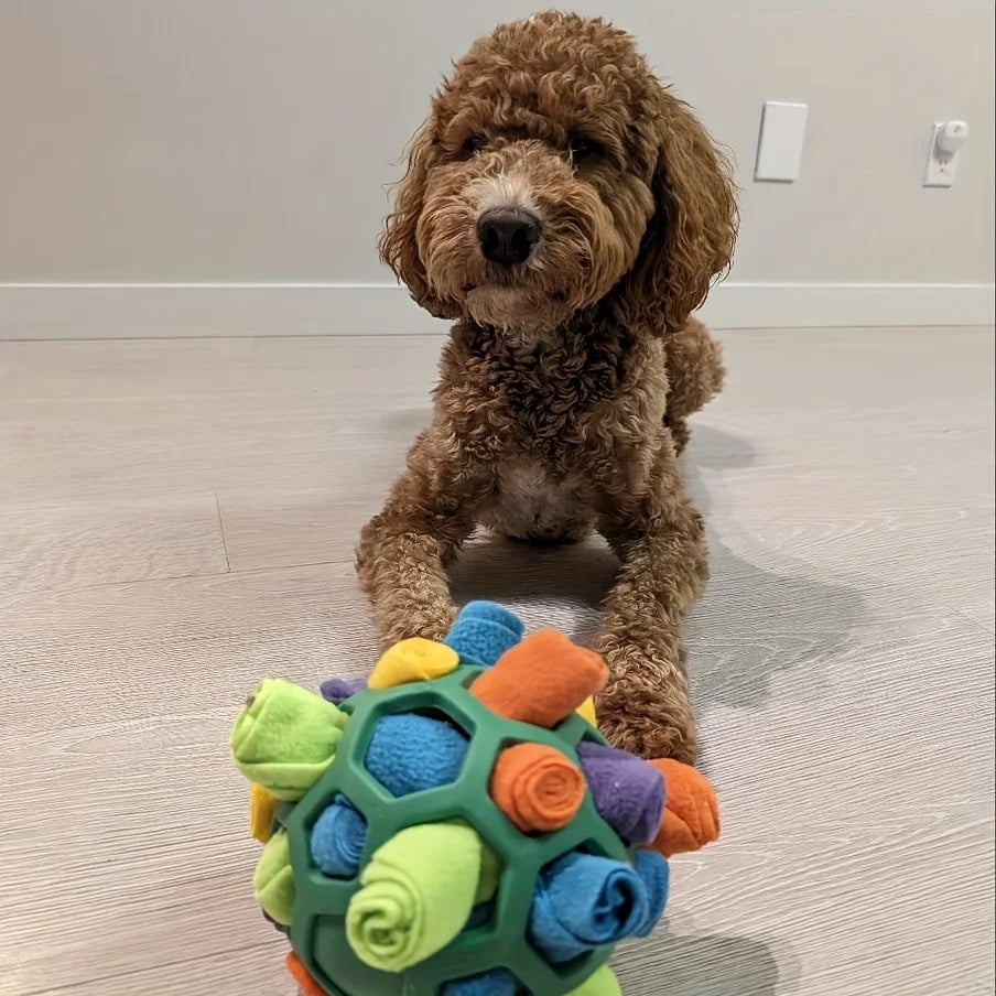 Dog playing with SniffSphere snuffle ball for mental enrichment